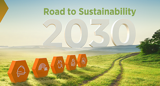 The Road to Sustainability 2030