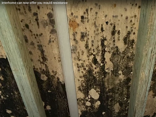 Interhome now offers you mould resistance